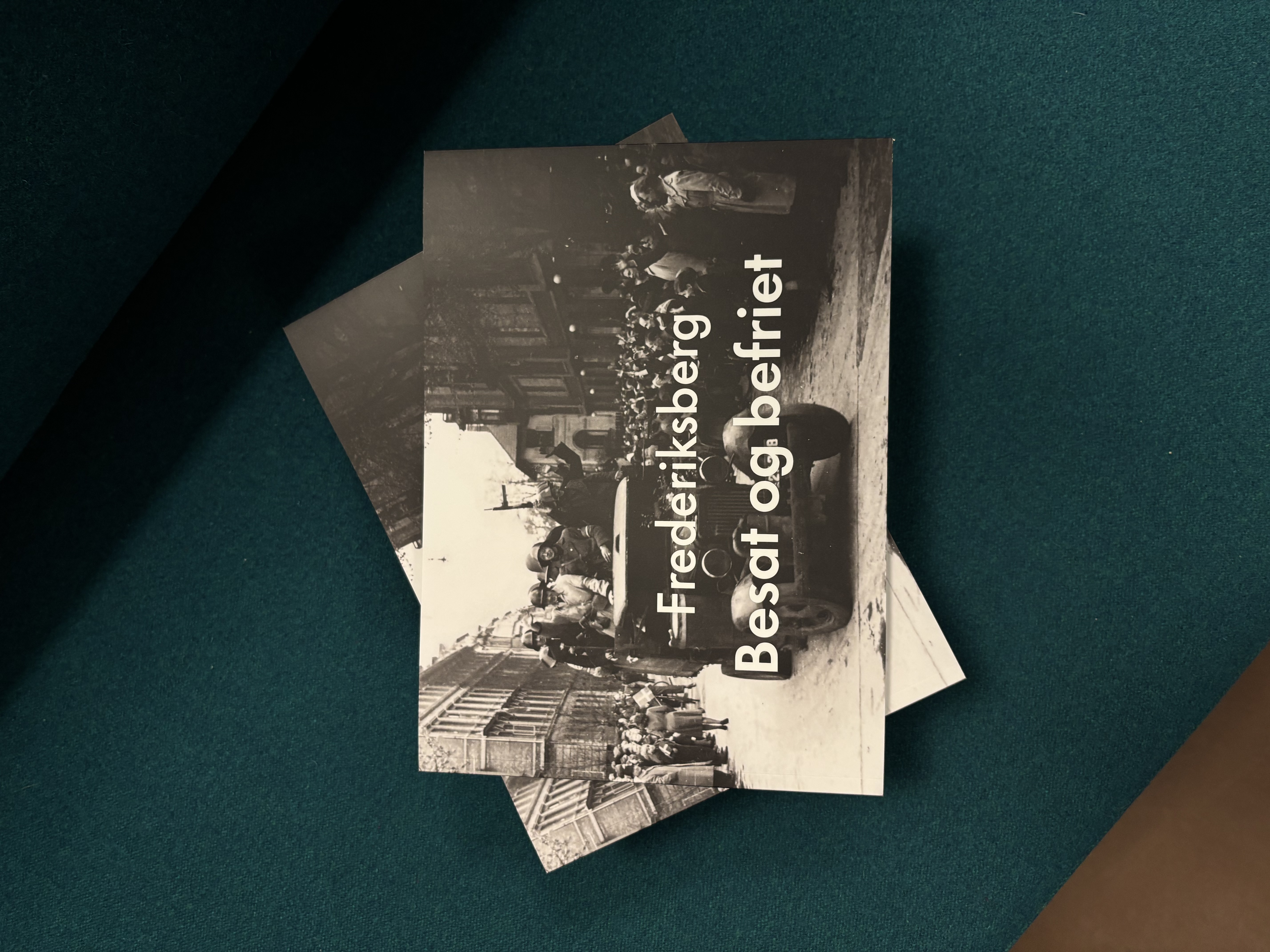 Visning af bogens forside